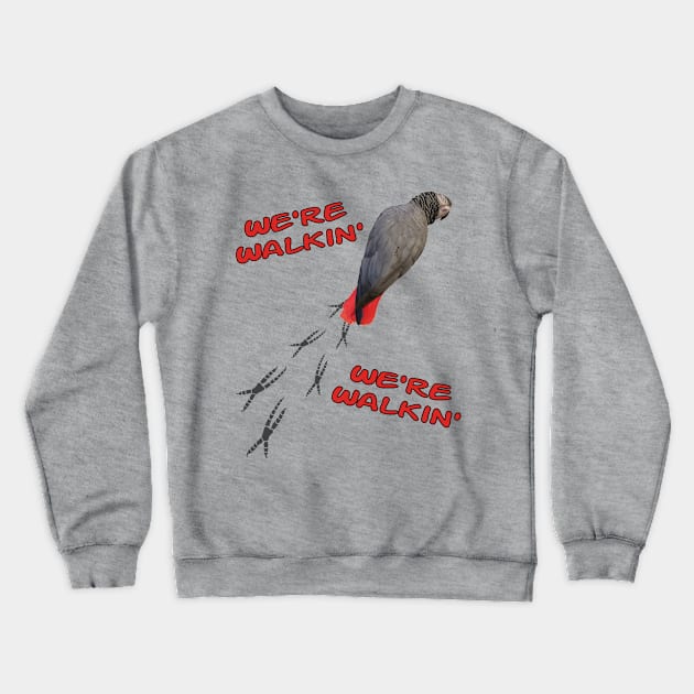African Grey Parrot Walking Crewneck Sweatshirt by Einstein Parrot